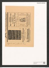 Nitzschia pellucida Grun. (de-Toni-Nr.: Genus 47, Species 2048) Zeichnungen Sammlung Grunow (NHMW-BOT-W0371878)